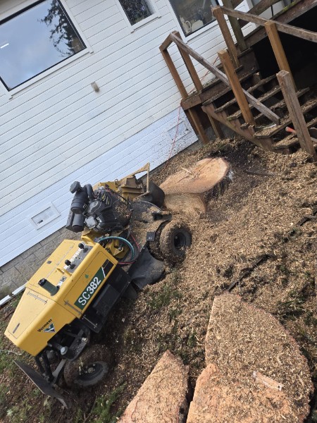 Stump grinder in action on a residential lawn.